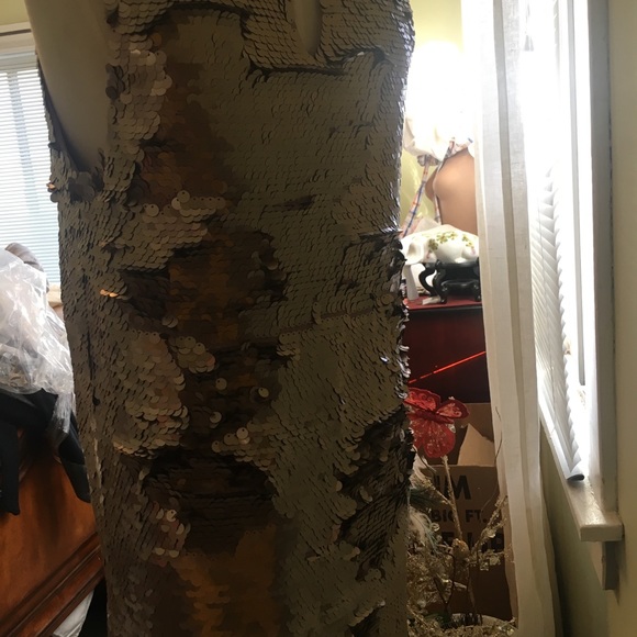 Paper Crown Cambria Sequined shift Dress - Picture 6 of 6